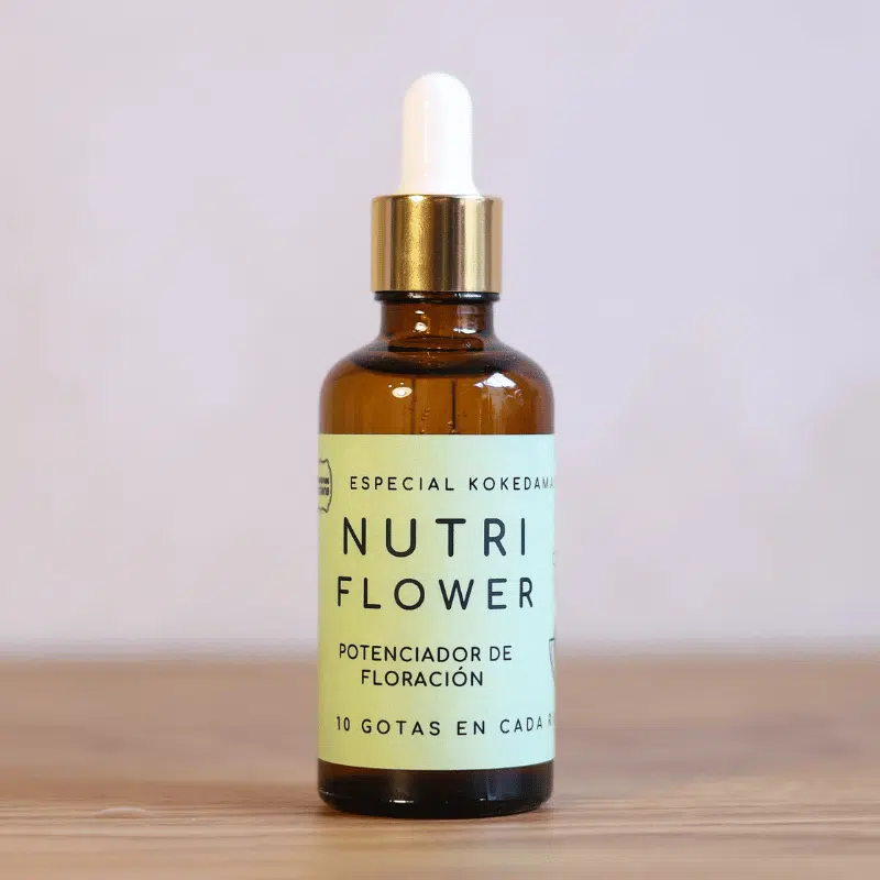 Nutri Flower - Imagen 5