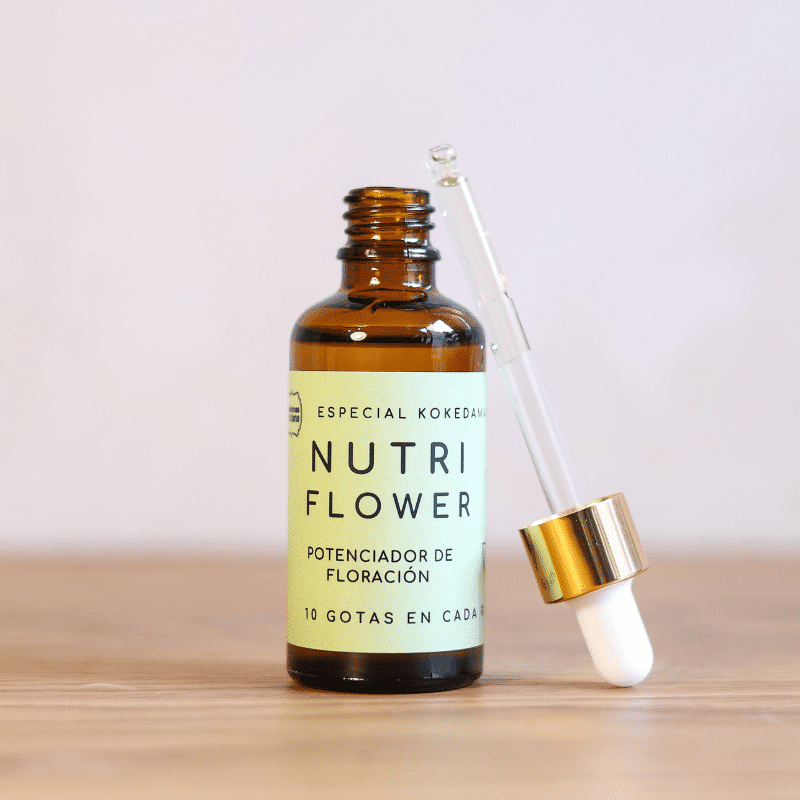 Nutri Flower - Imagen 3