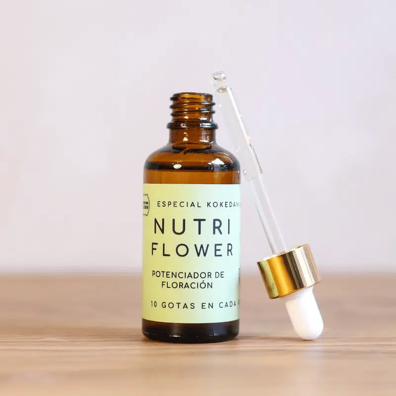 Nutri Flower - Imagen 3