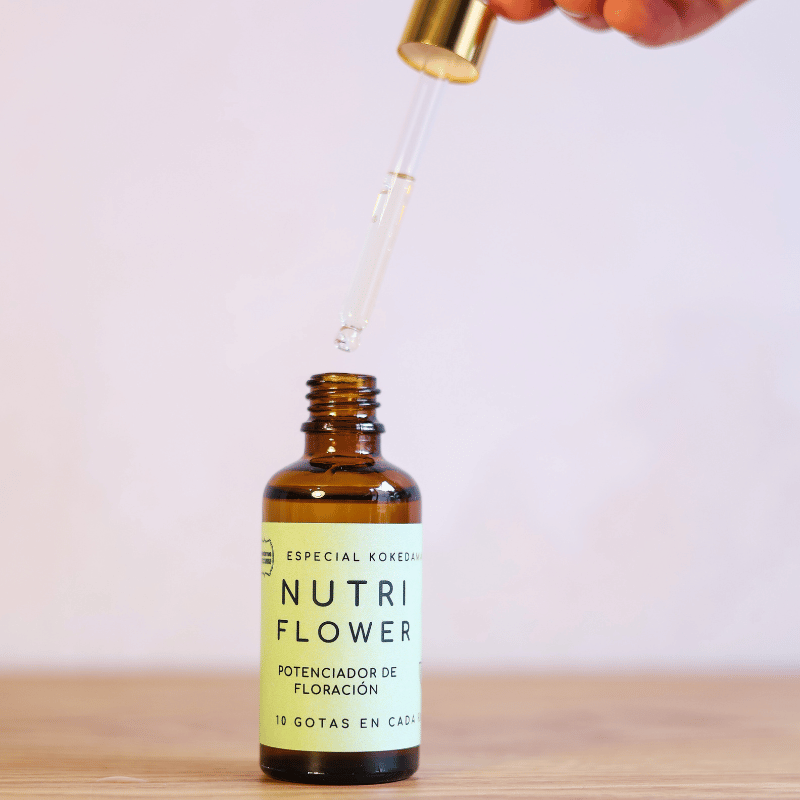 Nutri Flower - Imagen 2