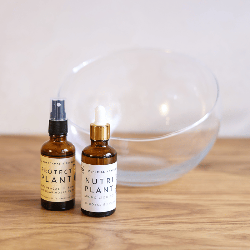 Pack Care Kokedama - Imagen 2