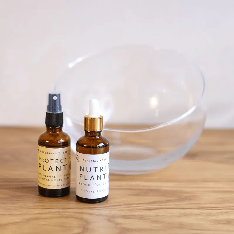 Pack Care Kokedama - Imagen 2