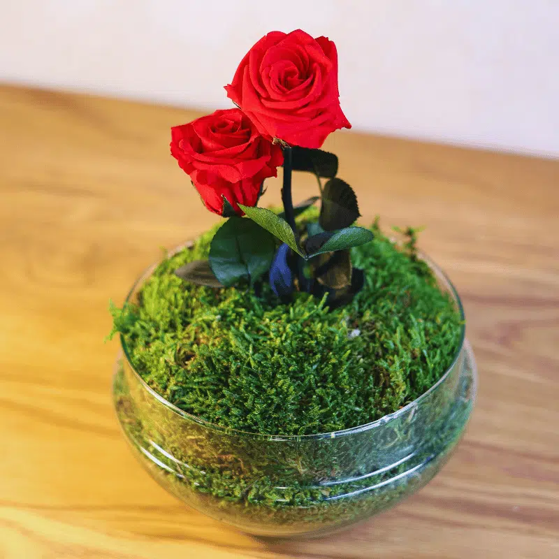 Rosa Amor Eterno - Imagen 3