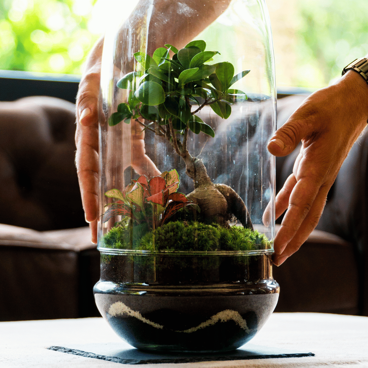 Terrario Río - Imagen 6