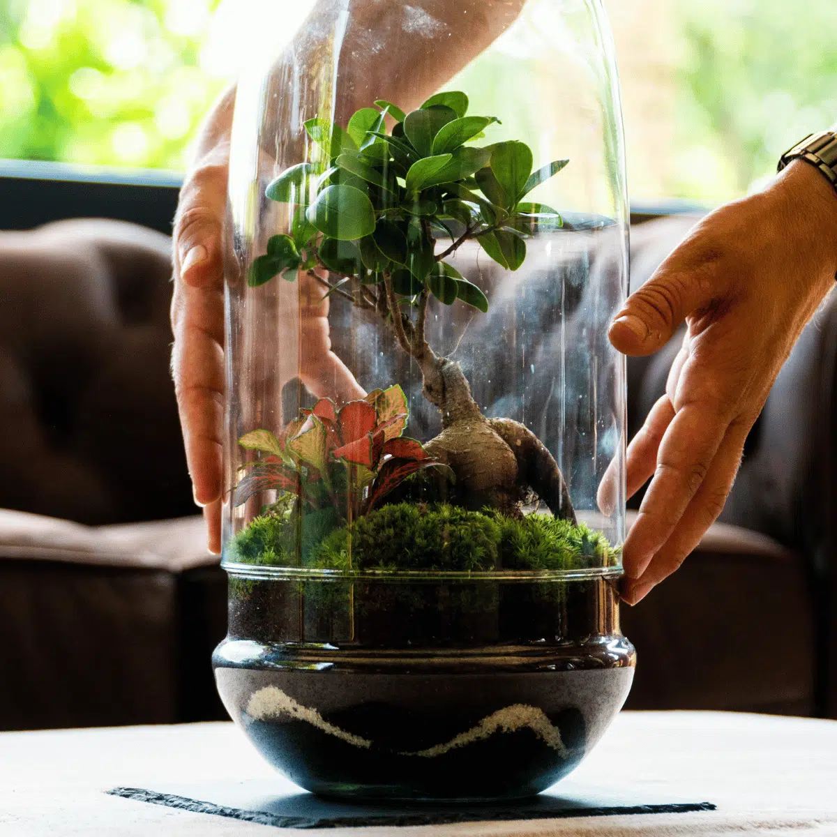 Terrario Río - Imagen 6