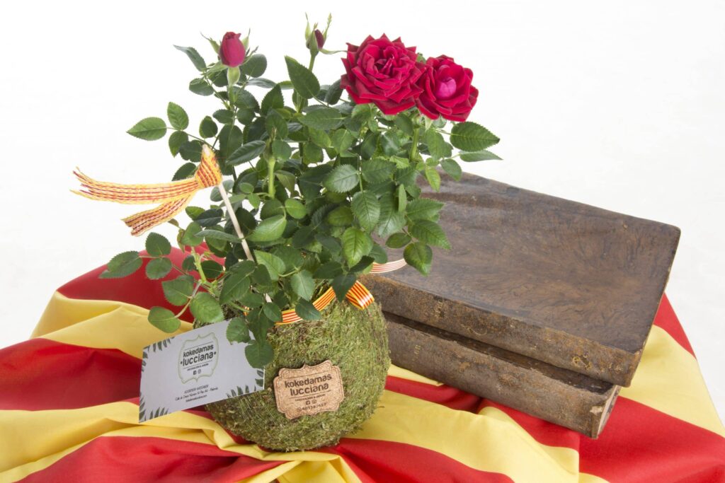 Kokedama Rosa de Sant Jordi