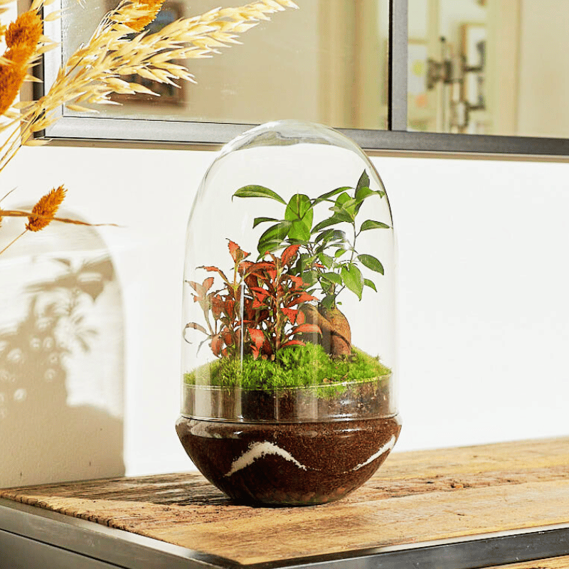 Terrario Río - Imagen 4