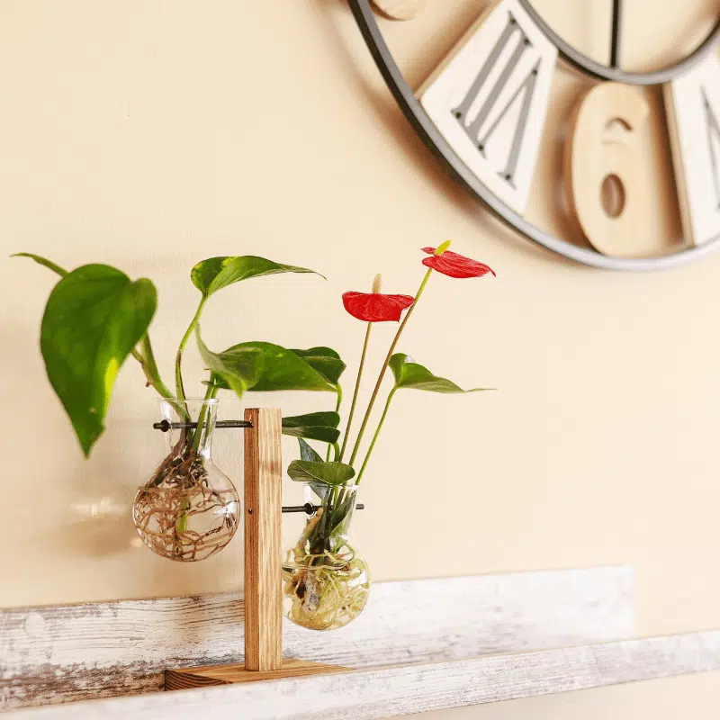 Laboratorio Verde - Imagen 2