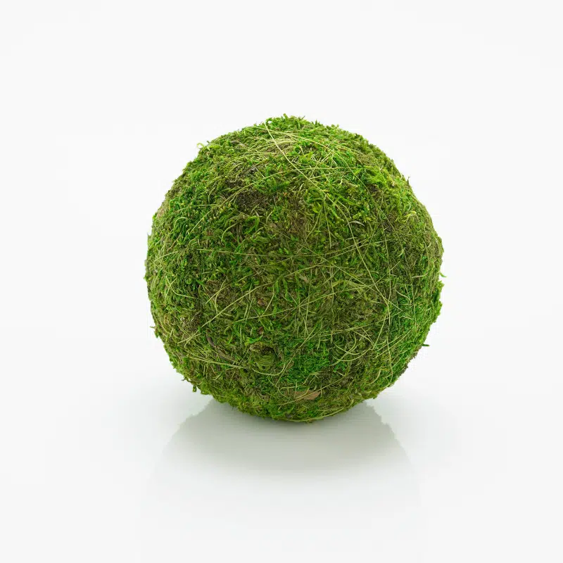 Ball Moss Extra