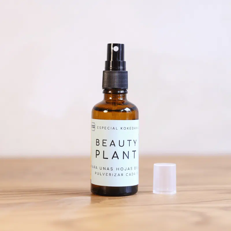 Beauty Plant - Imagen 2