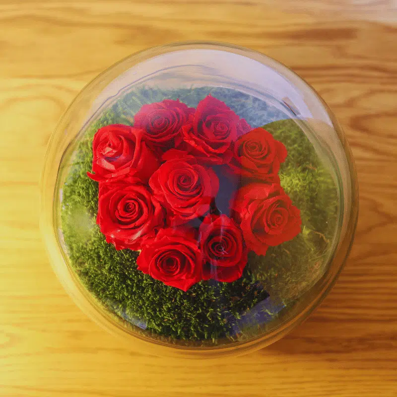 Rosa Corazón Eterno - Imagen 2