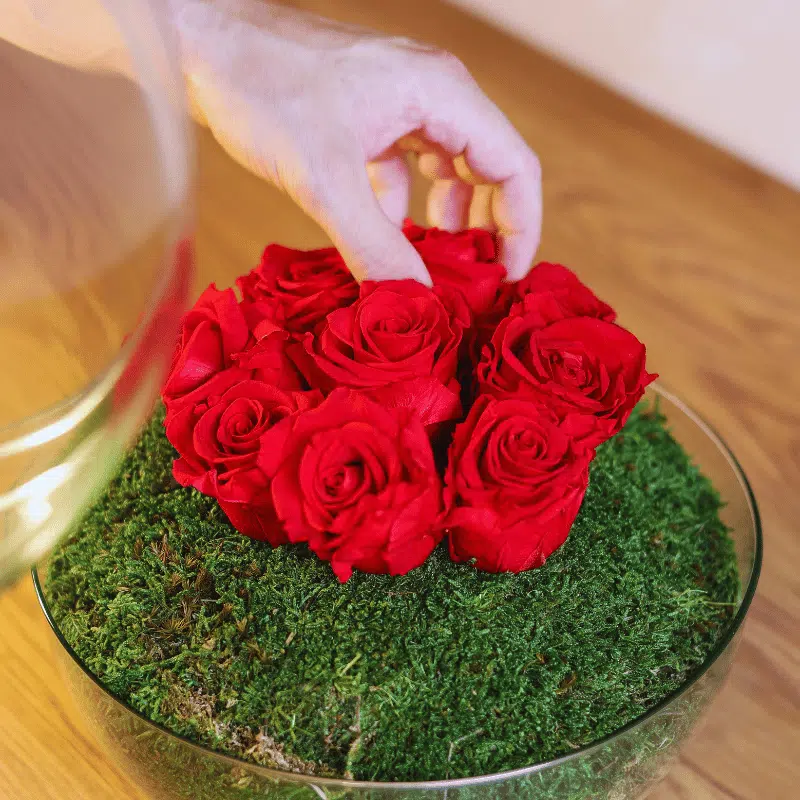 Rosa Corazón Eterno - Imagen 5