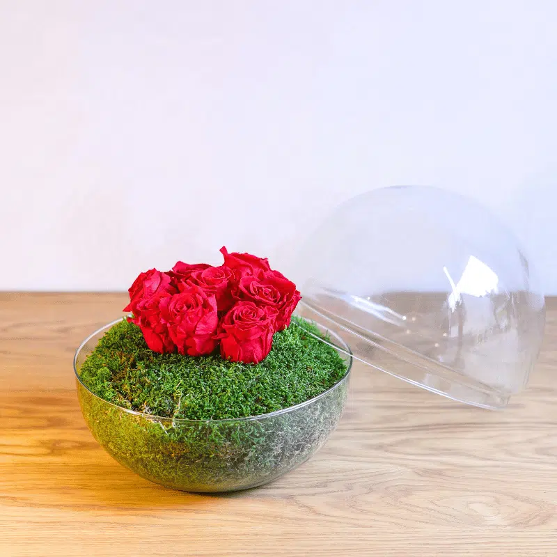 Rosa Corazón Eterno - Imagen 4