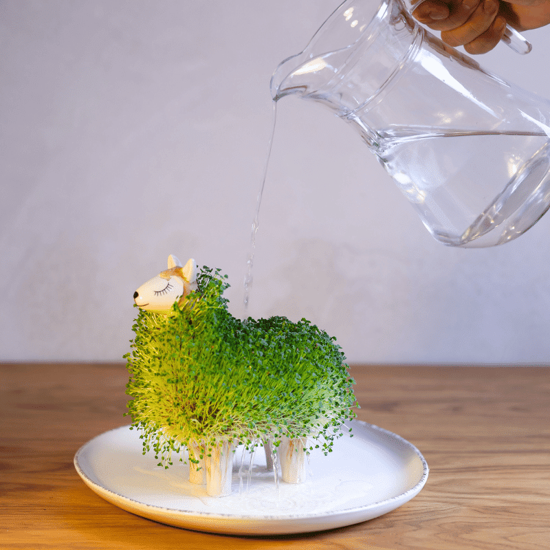 Magic Llama - Imagen 4