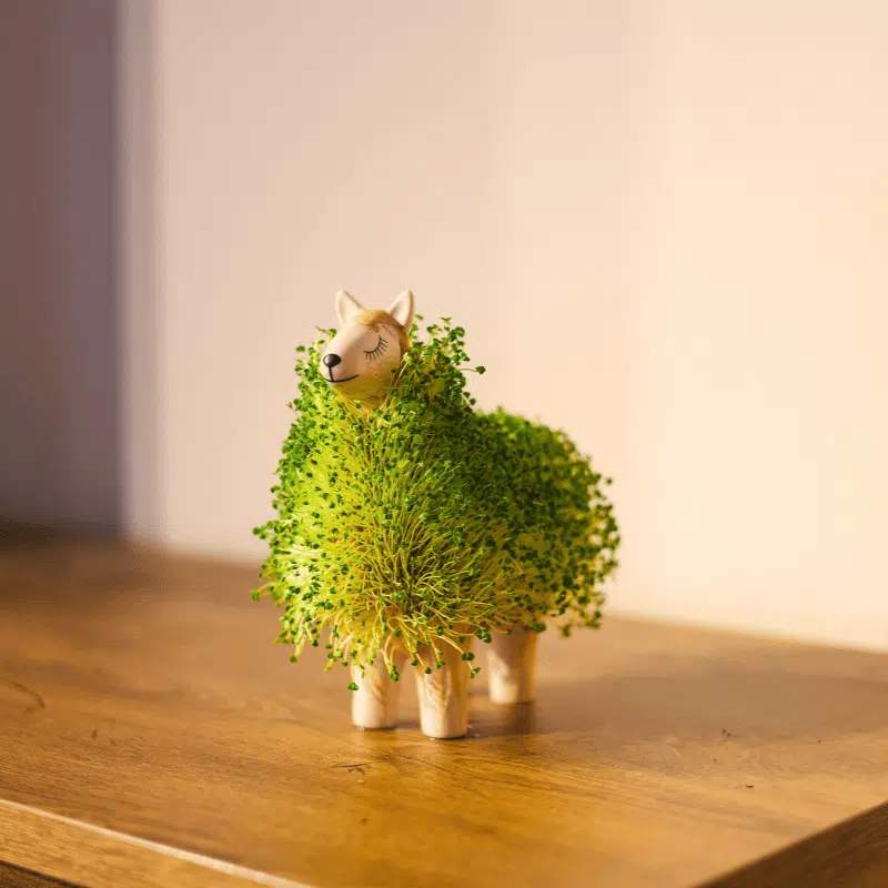 Magic Animal - Imagen 6