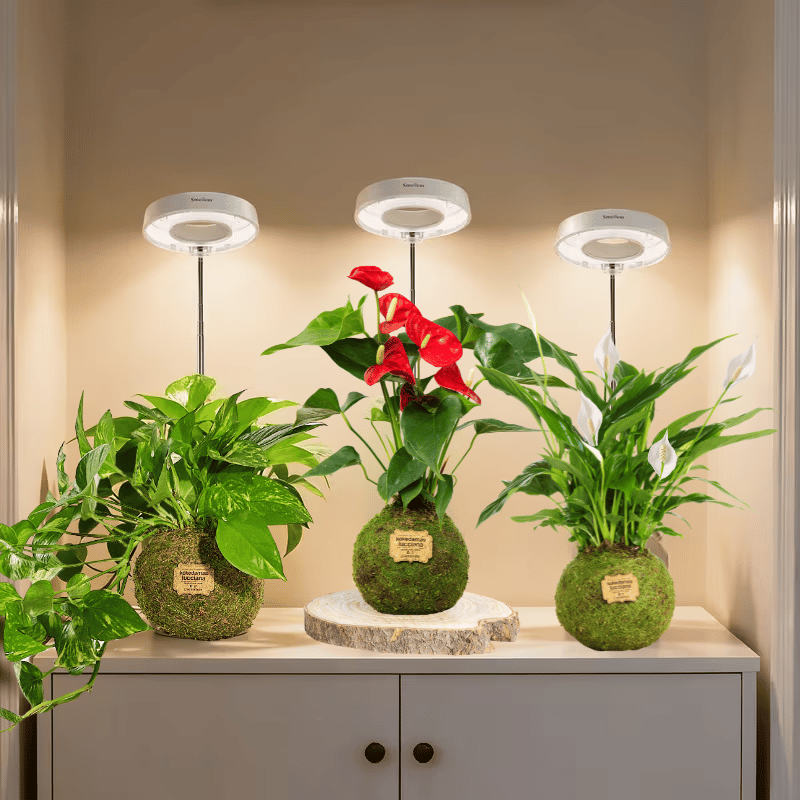 Luz para plantas - Imagen 2