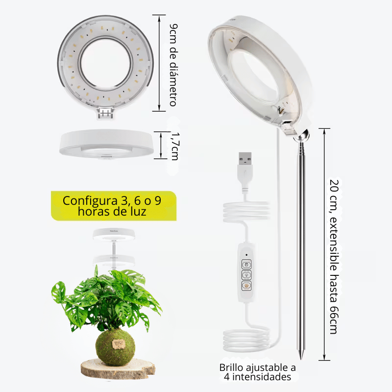 Luz para plantas - Imagen 3