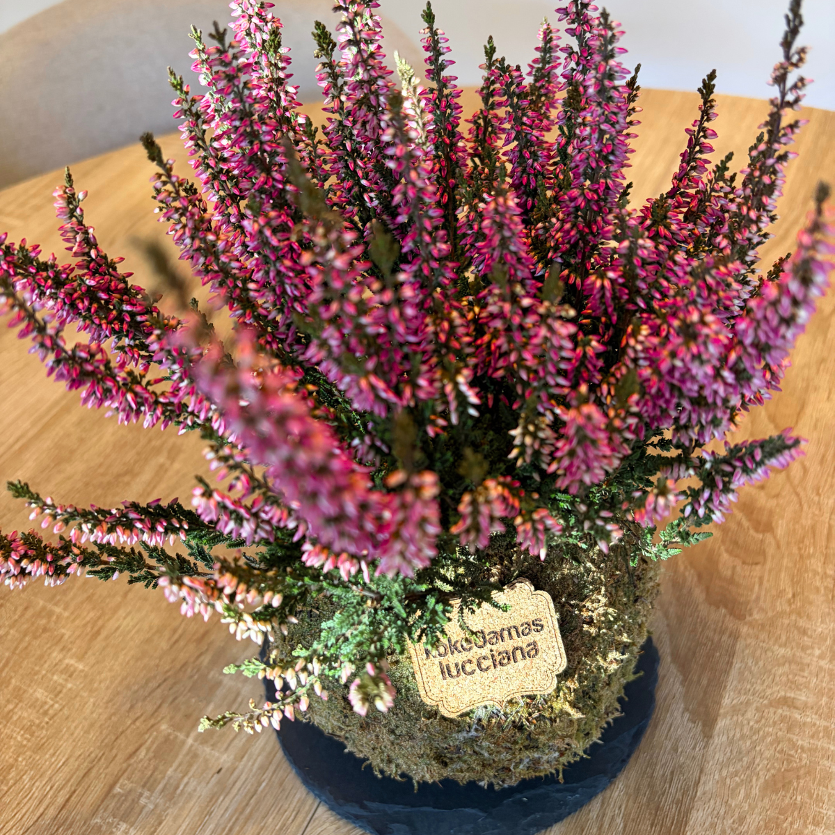 Kokedama Calluna - Imagen 6